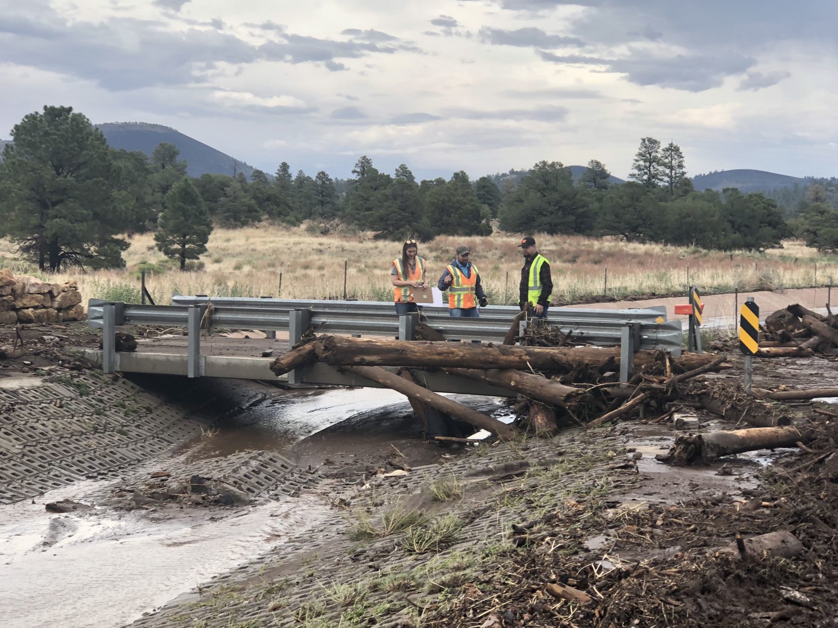 Bridge debris